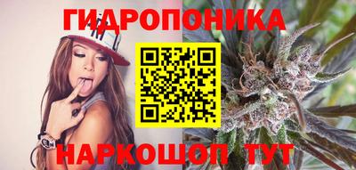 spice Гусиноозёрск