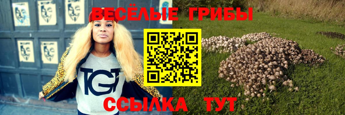 Нарткала  Галлюциногенные грибы ЛСД  где продают наркотики  Вход с VPN 