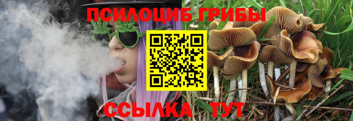Галлюциногенные грибы мухоморы Нарткала